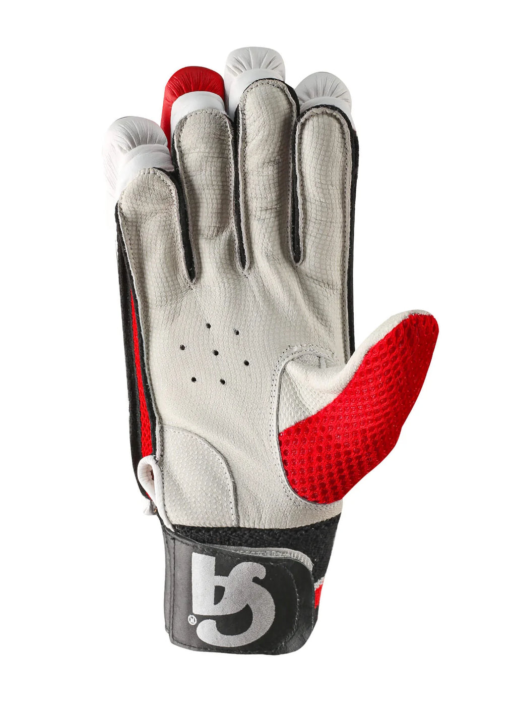 Premium leather palm and ventilation design of CA Plus Player Edition Batting Glove - Alberta Cricket Store