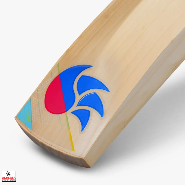 DSC Intense 5 0 English Willow Cricket Bat - Long Blade (LB) - Side View