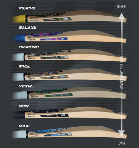 GM Noir Delta 404 English Willow Cricket Bat - Short Handle (SH) - Back View