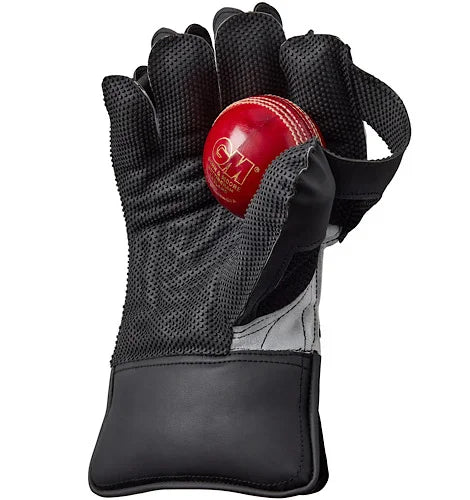 GM Rival 909 wicket keeping glove holding a red GM leather cricket ball available at Alberta Cricket Store