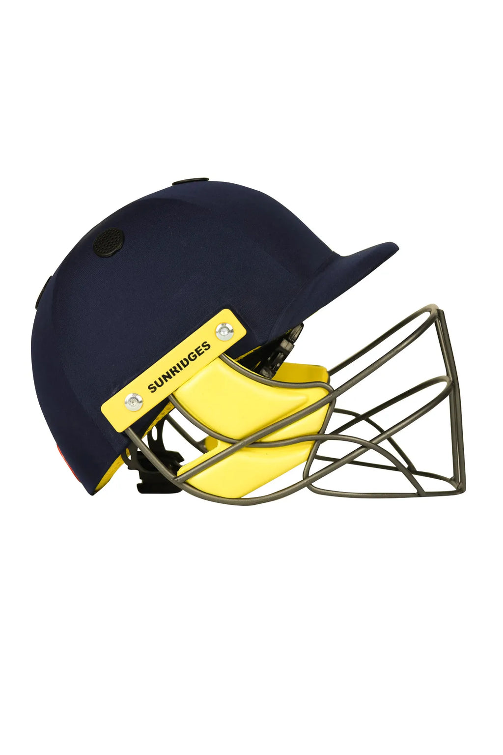 SS Pro Premium Cricket Helmet Great Saving This Week Limited Time Offer