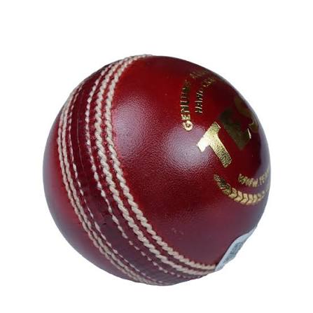 SG Test Leather Ball