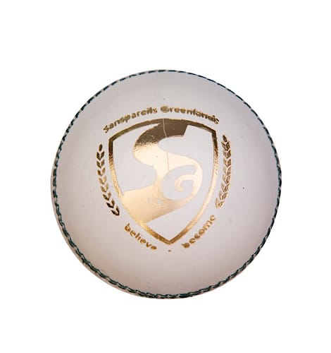 SG Test White Leather Ball