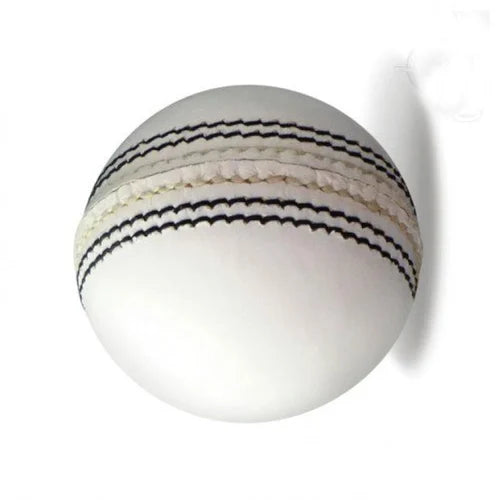 DSC Match grade Leather Ball white
